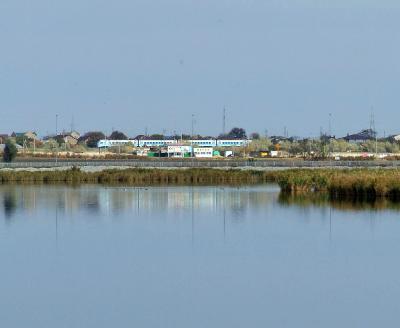 Прикрепленное изображение: DSCF5929.jpg